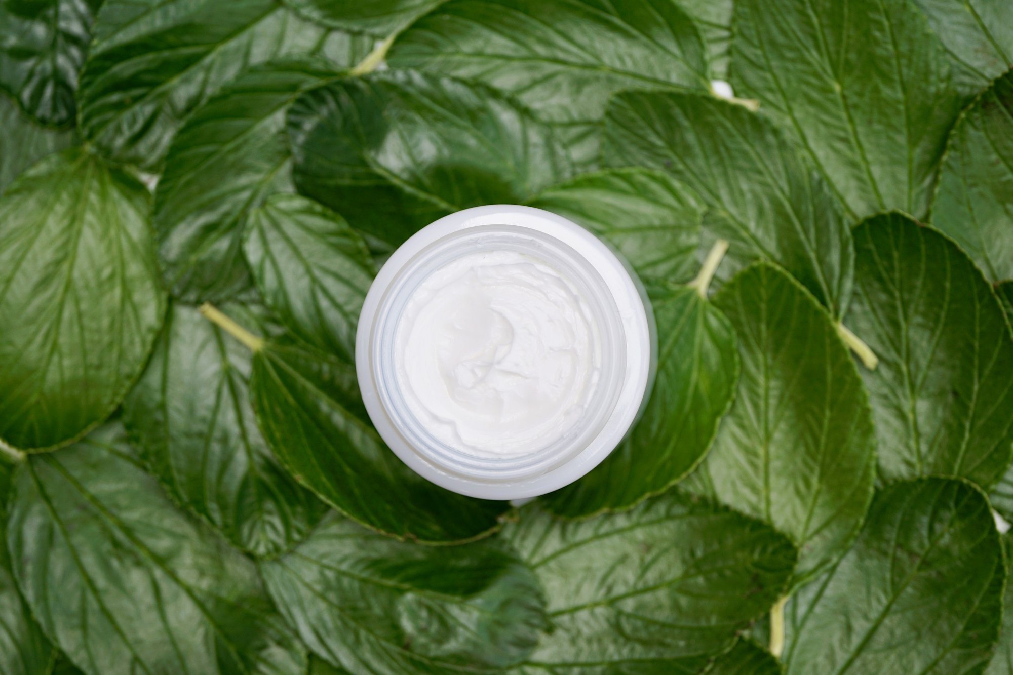 Open crème de la mer cream pot on a bed of leaves