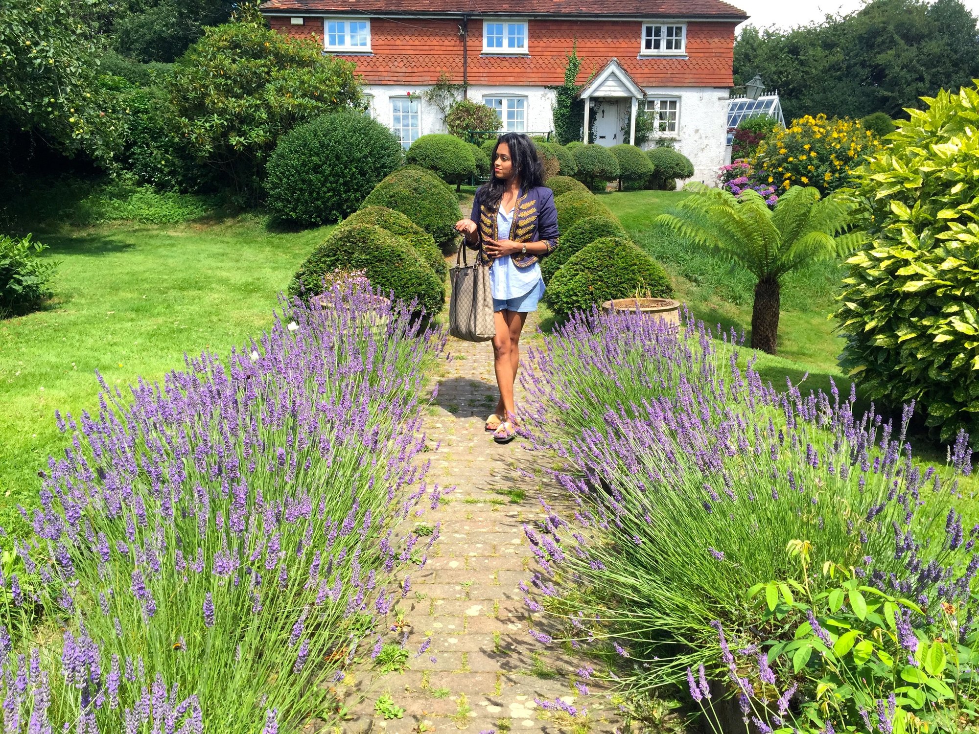 Sachini in a field of lavender